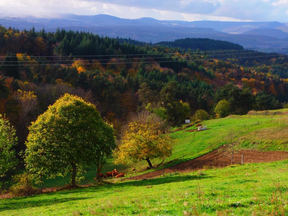 Le Vallon D'Armandine, Gite Ecologique Auvergne Saint-Hilaire  외부 사진